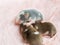 Three blind baby satin decorative mice sleep together on a fluffy pink background. 11th day of life of a mouse, rodent