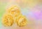 Three blooming yellow roses on pastel background