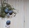 Three blue easter eggs in green shavings and white feathers on a light background