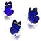 Three blue monarch butterfly