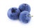 Three blueberries closeup on white