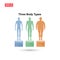 three body type male ectomorph mesomorph endomorph vector isolated with description