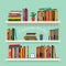 Three bookshelves with favorite books, watches, flowers and pencils. concept of library. vector illustration isolated