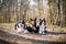 Three border collies are lying in forest on the road.