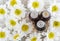 Three bottles of essential chamomile oil over wooden background. Aromatherapy and spa concept.