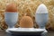Three breakfast eggs in eggcup