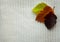 Three bright autumn leaves of hawthorn maroon and yellow-orange and green on a white, ivory simple knitted pigtail background. The