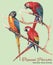 Three Bright Macaw Parrots on a Branch (Watercolor Vector Drawing)