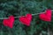 Three bright red hearts hanging on clothesline outdoors