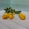 Three bright yellow tulips with long stems lie on white boards.