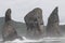 Three Brothers Rocks in Avacha Bay