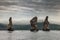 Three Brothers Rocks in the Avacha Bay of the Pacific Ocean. The coast of Kamchatka.