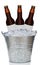 Three Brown Beer Bottles in Ice Bucket with blank labels isolated on white