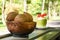 Three brown coconuts in the wooden plate on the table