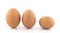 Three brown organic chicken eggs.