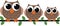 Three brown owls