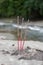 Three Buddhist burning incense sticks in the stones on the river