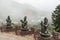 Three Buddhistic statues at the Tian Tan Buddha