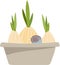 Three bulbs in a flower pot, with a small snail. Illustration on the theme of gardening