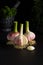 Three bulbs of young garlic on dark background close-up macro