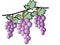 Three bunches of grapes