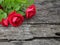 Three Burgundy roses on wooden background with cracks