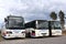 Three Buses Parked