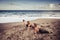 Three cacuasian young ladies doing pilates on the shore near the waves and the ocean. outdoor leisure activity sport and