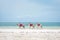 Three camels walking on the beach in Diani Beach, Kenya, watamu Zanzibar with turquoise water sea and white sand tropical backgrou