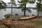 Three Canoes on Algonquin Lake