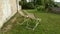 Three canvas deckchairs on lawn