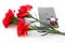 Three carnations, the Order of the Red Star, a military book on a white background. items