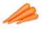 Three carrots isolated