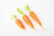 Three carrots in white background