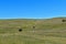 Three cars on a winding prairie trail