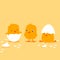 Three cartoon baby chicks hatching. Cute illustration for children