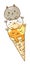 Three cat in ice-cream cone isolated on white