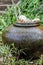 Three cats ceramic on earthenware fountain jar