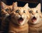 Three cats that have a mouth open, meme