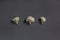 Three cauliflower on grey background