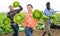 Three cheerful farmers are fooling around with lettuce in farmers field