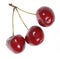 Three Cherries