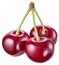 Three cherries. File contains clipping path.