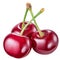 Three cherries. File contains clipping path.