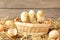 Three chicks in a basket on grey background