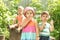 Three children of the same age show different emotions. Children in the garden play outdoors in summer. A sister and