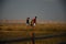 Three Children Walking in the Badlands National Park