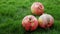 Three chinese lantern on green grass and have some space for write wording