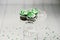 Three chocolate cupcakes with green shamrock candies on a crystal serving dish