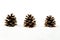 Three christmas pine cones on snow in line